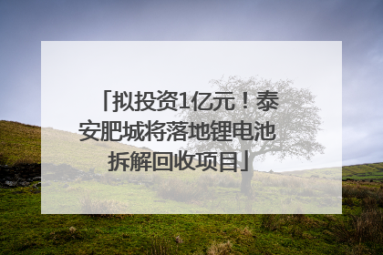 拟投资1亿元！泰安肥城将落地锂电池拆解回收项目