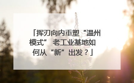 挥刃向内重塑“温州模式” 老工业基地如何从“新”出发？