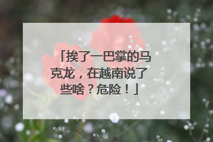 挨了一巴掌的马克龙，在越南说了些啥？危险！