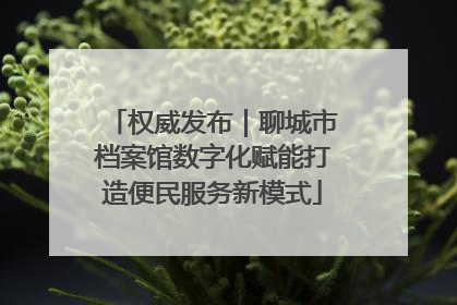 权威发布｜聊城市档案馆数字化赋能打造便民服务新模式