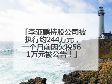 李亚鹏持股公司被执行约244万元，一个月前因欠税561万元被公告！