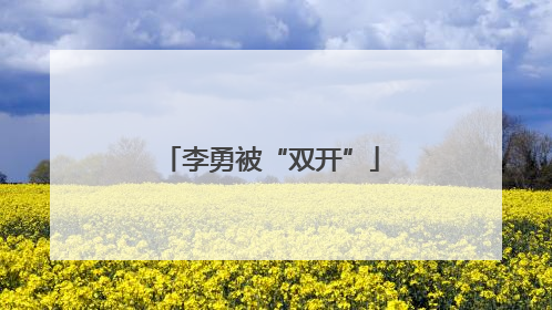 李勇被“双开”