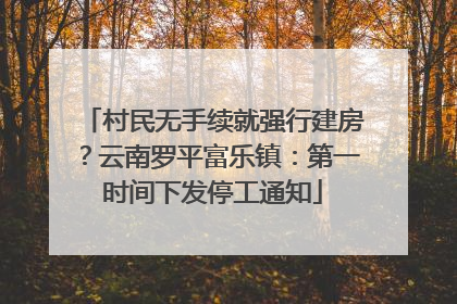 村民无手续就强行建房？云南罗平富乐镇：第一时间下发停工通知