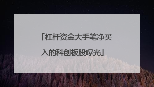 杠杆资金大手笔净买入的科创板股曝光