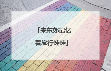 来东郊记忆 看旅行蛙蛙