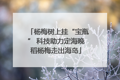 杨梅树上挂“宝瓶” 科技助力定海晚稻杨梅走出海岛