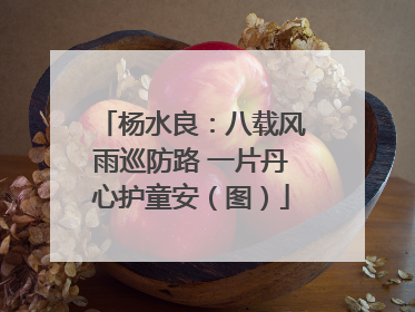 杨水良：八载风雨巡防路 一片丹心护童安（图）