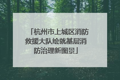 杭州市上城区消防救援大队绘就基层消防治理新图景
