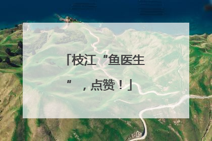 枝江“鱼医生”，点赞！