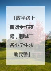 放学路上偶遇受伤夜鹭，聊城三名小学生求助民警
