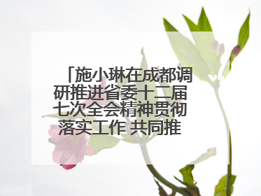 施小琳在成都调研推进省委十二届七次全会精神贯彻落实工作 共同推动文旅深度融合高质量发展 加快打造支柱产业民生产业幸福产业