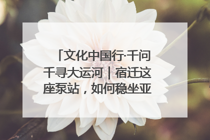 文化中国行·千问千寻大运河｜宿迁这座泵站，如何稳坐亚洲第一宝座？