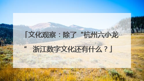 文化观察：除了“杭州六小龙” 浙江数字文化还有什么？