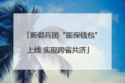 新疆兵团“医保钱包”上线 实现跨省共济