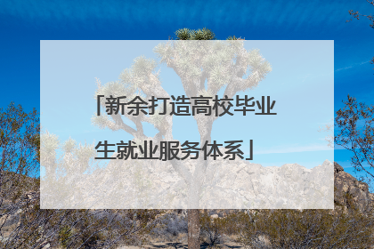 新余打造高校毕业生就业服务体系