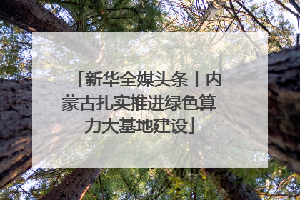 新华全媒头条丨内蒙古扎实推进绿色算力大基地建设