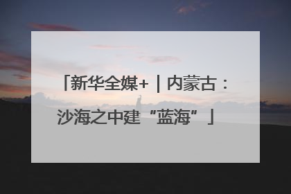 新华全媒+｜内蒙古：沙海之中建“蓝海”