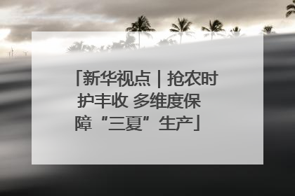 新华视点｜抢农时 护丰收 多维度保障“三夏”生产