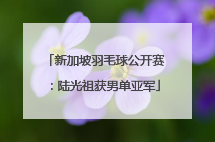 新加坡羽毛球公开赛：陆光祖获男单亚军