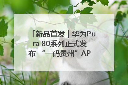 新品首发｜华为Pura 80系列正式发布 “一码贵州”APP抢先开售！