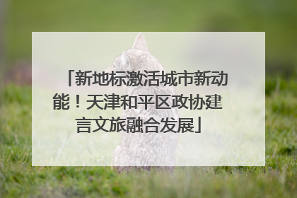 新地标激活城市新动能！天津和平区政协建言文旅融合发展