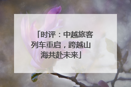 时评：中越旅客列车重启，跨越山海共赴未来