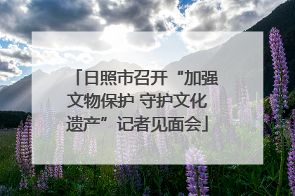 日照市召开“加强文物保护 守护文化遗产”记者见面会