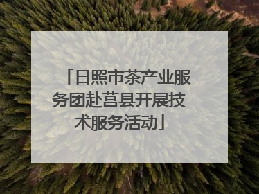 日照市茶产业服务团赴莒县开展技术服务活动