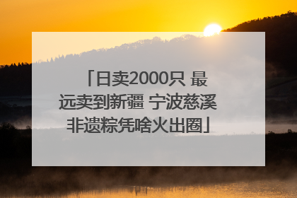 日卖2000只 最远卖到新疆 宁波慈溪非遗粽凭啥火出圈