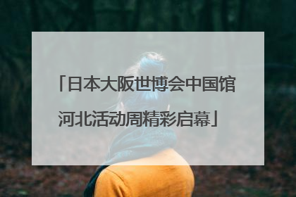 日本大阪世博会中国馆河北活动周精彩启幕