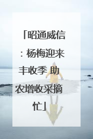 昭通威信：杨梅迎来丰收季 助农增收采摘忙
