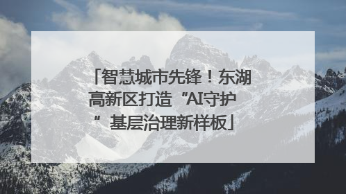智慧城市先锋！东湖高新区打造“AI守护”基层治理新样板