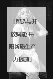 智造与开放赋能 岳阳新质生产力提速