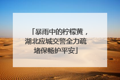 暴雨中的柠檬黄，湖北应城交警全力疏堵保畅护平安