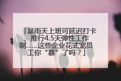 暴雨天上班可延迟打卡、推行4.5天弹性工作制……这些企业花式宠员工你“慕”了吗？