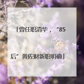 曾任职清华，“85后”黄佐财新职明确