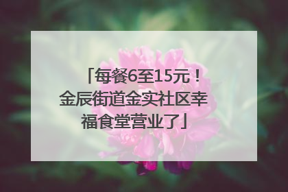 每餐6至15元！金辰街道金实社区幸福食堂营业了