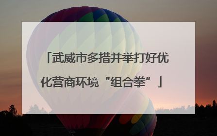 武威市多措并举打好优化营商环境“组合拳”