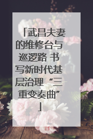 武昌夫妻的维修台与巡逻路 书写新时代基层治理“三重变奏曲”