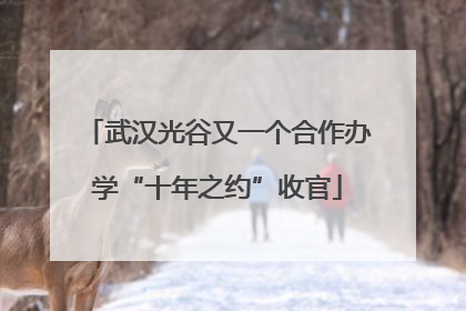 武汉光谷又一个合作办学“十年之约”收官