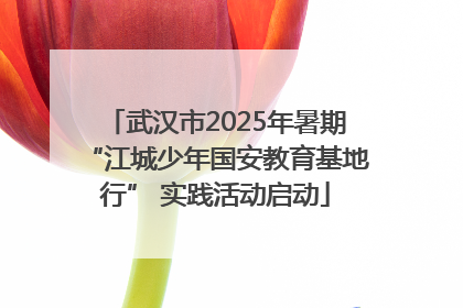 武汉市2025年暑期“江城少年国安教育基地行” 实践活动启动