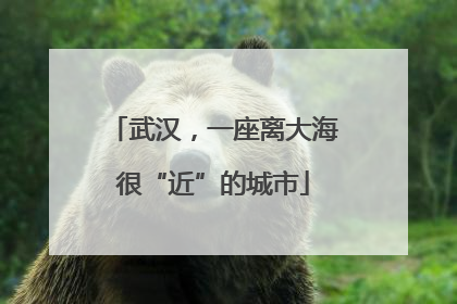 武汉，一座离大海很“近”的城市