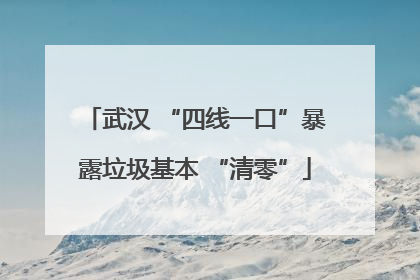 武汉 “四线一口”暴露垃圾基本 “清零”