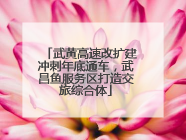 武黄高速改扩建冲刺年底通车，武昌鱼服务区打造交旅综合体