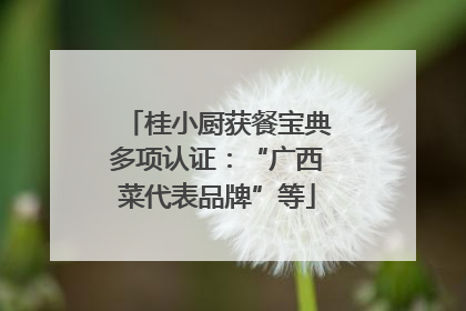 桂小厨获餐宝典多项认证：“广西菜代表品牌”等