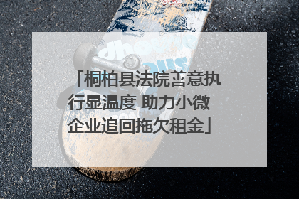 桐柏县法院善意执行显温度 助力小微企业追回拖欠租金
