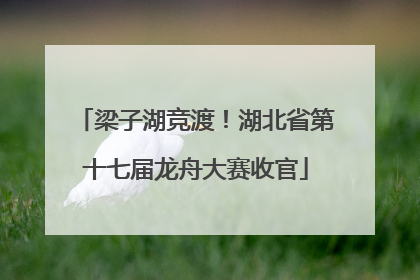 梁子湖竞渡！湖北省第十七届龙舟大赛收官
