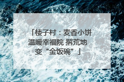 楼子村：麦香小饼温暖幸福院 撂荒地变“金饭碗”