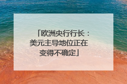 欧洲央行行长：美元主导地位正在变得不确定