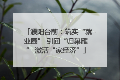 濮阳台前：筑实“就业圈” 引回“归巢雁” 激活“家经济”